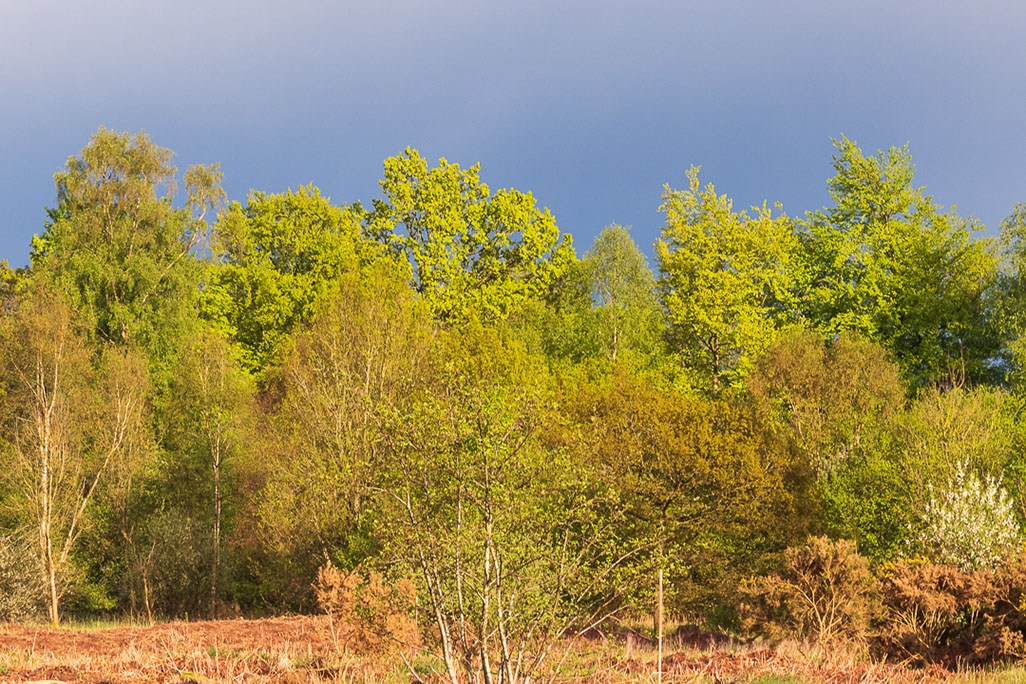 DSC_1635-Edit-4.jpg